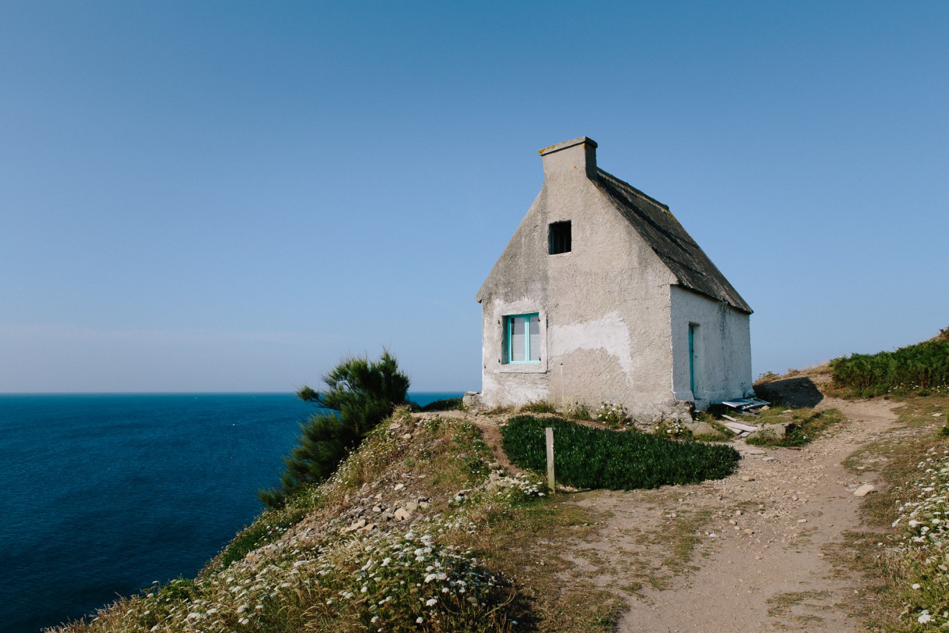image14