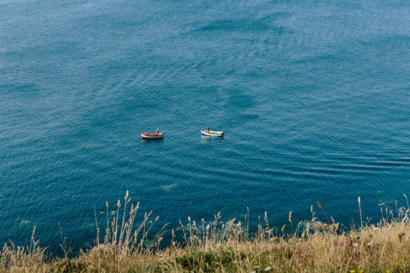 image13
