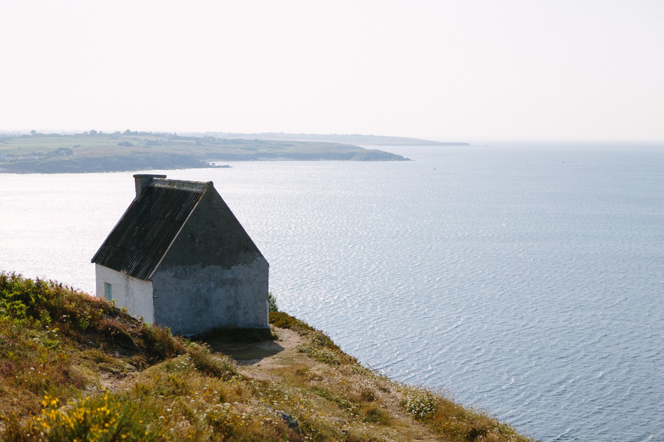 image12